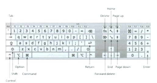 Клавиатура в Mac